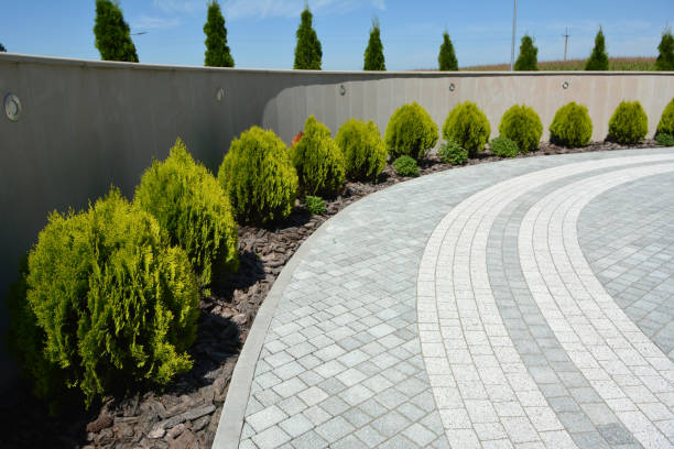 Best Custom Driveway Design and Paving in USA